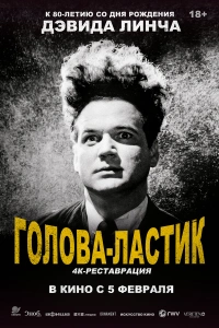 Голова-ластик